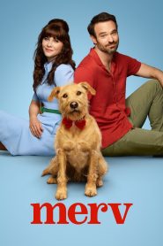 Merv 2025