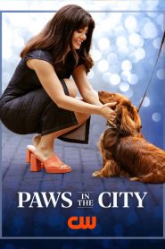 Paws in the City 2025