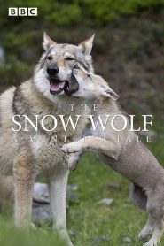 The Snow Wolf: A Winter’s Tale 2018